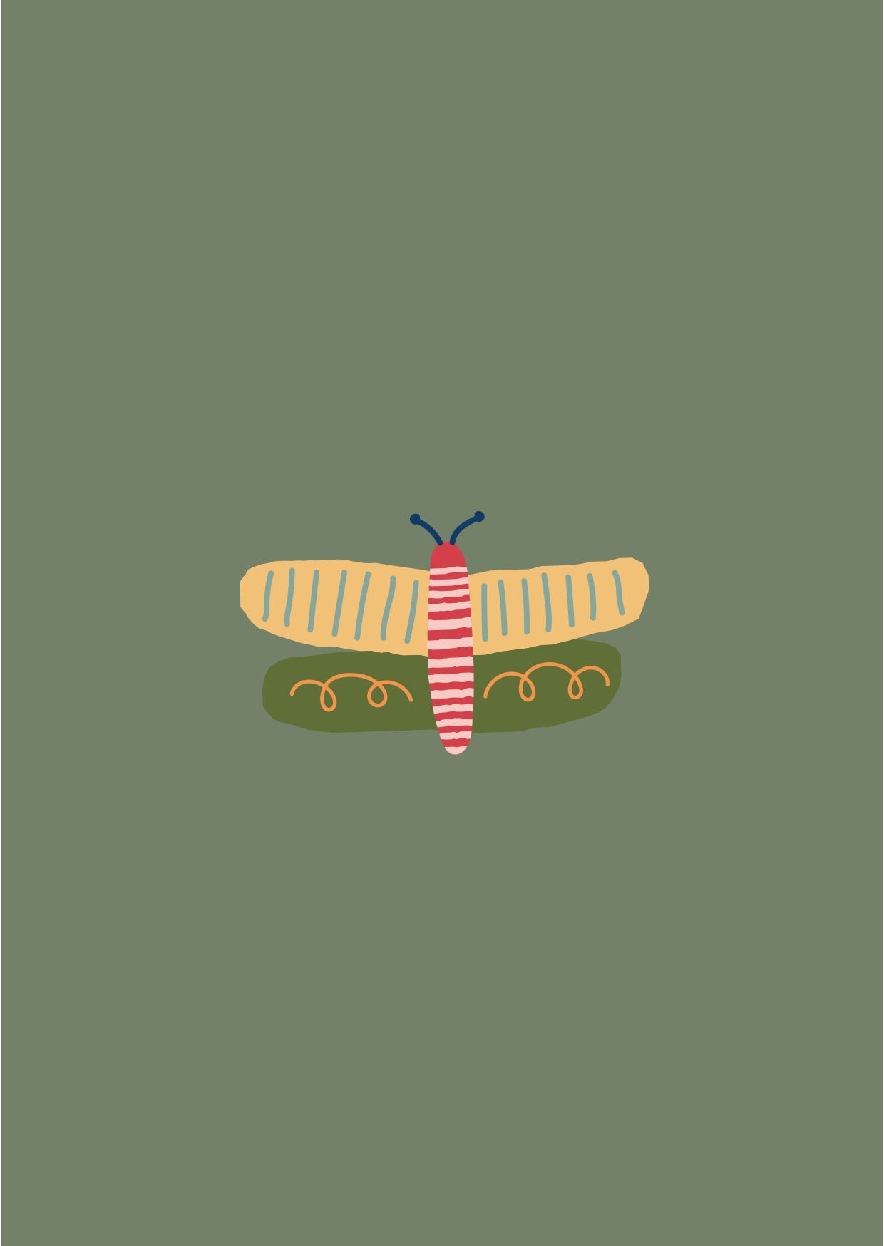 Butterfly