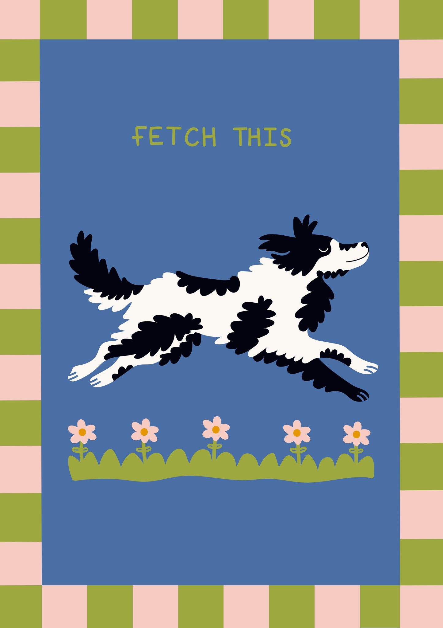 Fetch This Collie