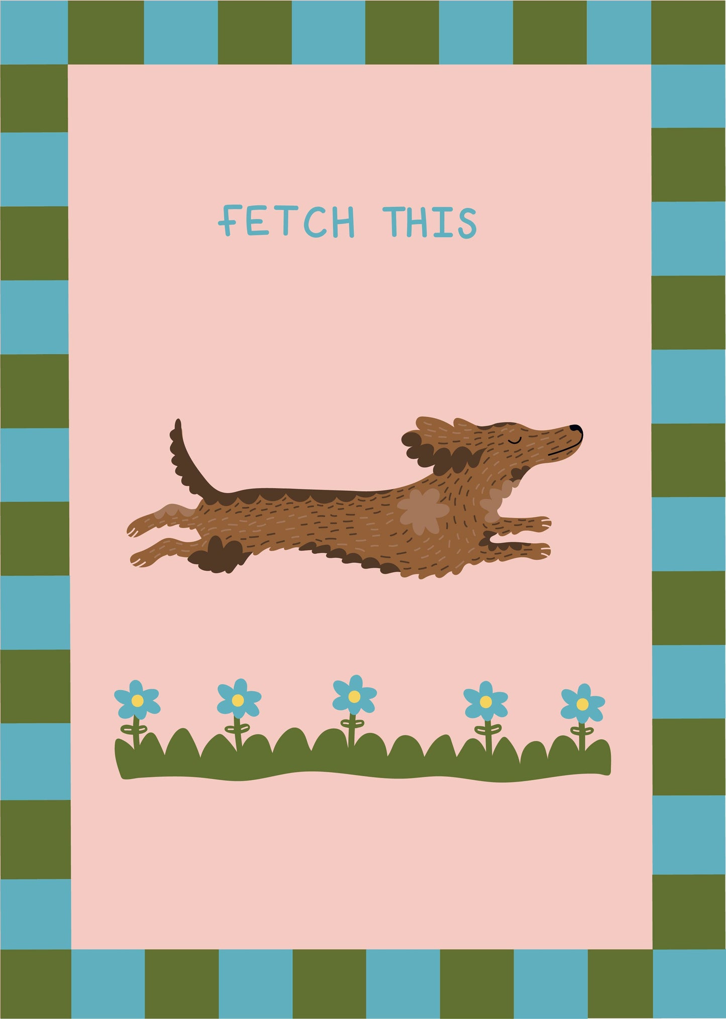 Fetch This Long Haired Dachshund