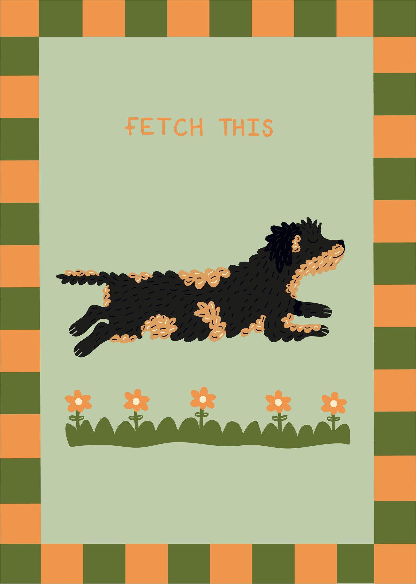 Fetch This Wired Haired Dachshund