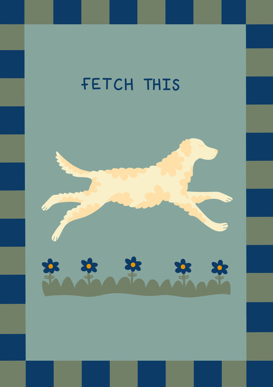 Fetch This Retriever