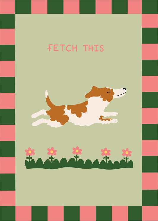 Fetch This Jack Russell
